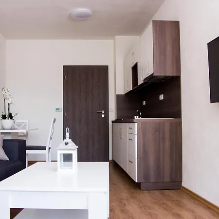 Apartmany Adh Dolní Morava Exterior photo